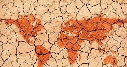 沙漠下的寶藏 生態環境材料的潛在價值與商機