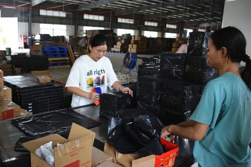 借力電商轉型，美滋食品突圍發(fā)展技術咨詢策略